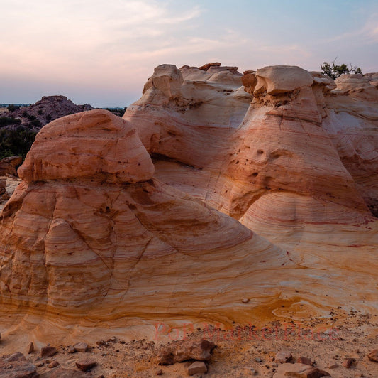 Company formation in New Mexico, USA